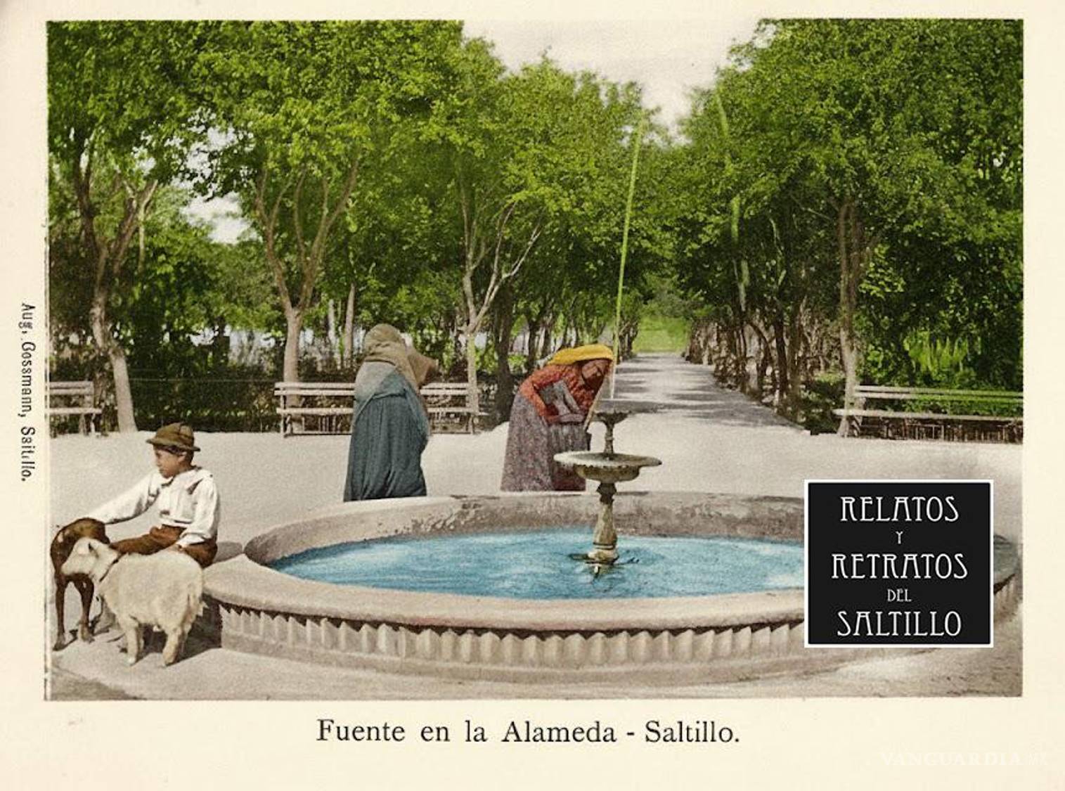 $!Postal de la Alameda de Saltillo de Augusto Gossmann, año 1907.