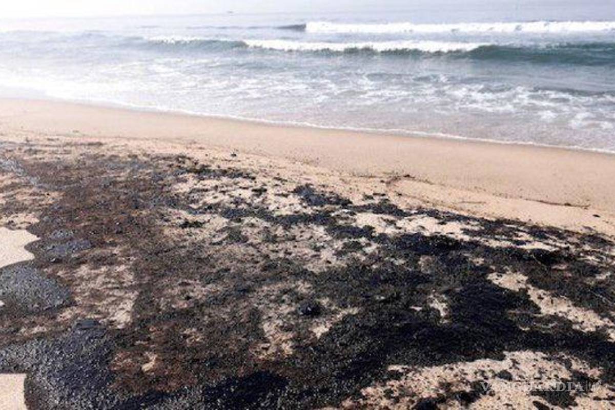 Pemex ‘calla’ por derrame que contamina playas en Salina Cruz; combustible cubre animales y arena