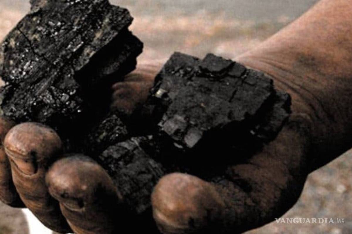 Piden carboneros reconsiderar montos a grandes productores en nueva compra de CFE