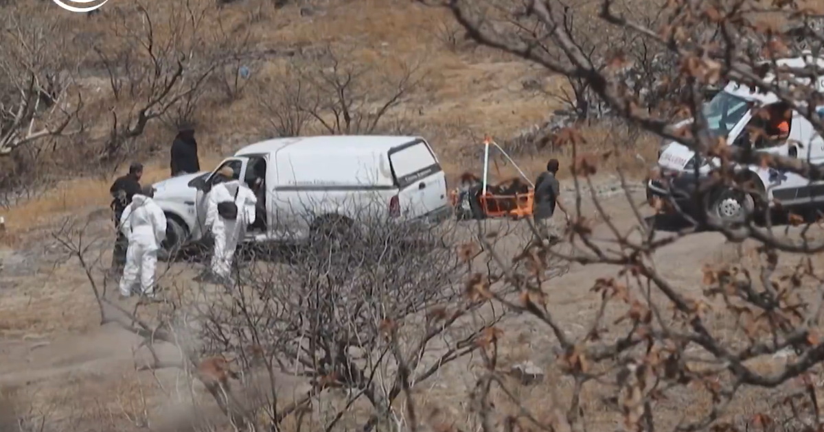 Suman 48 bolsas con restos humanos encontradas en fosa clandestina de Zapopan; desconocen cifra de víctimas