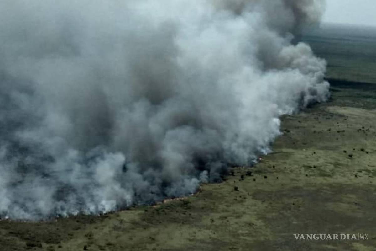 Grave daño al medio ambiente... incendios consumen hasta 2 mil hectáreas de la reserva Sian Ka´an, en Quintana Roo
