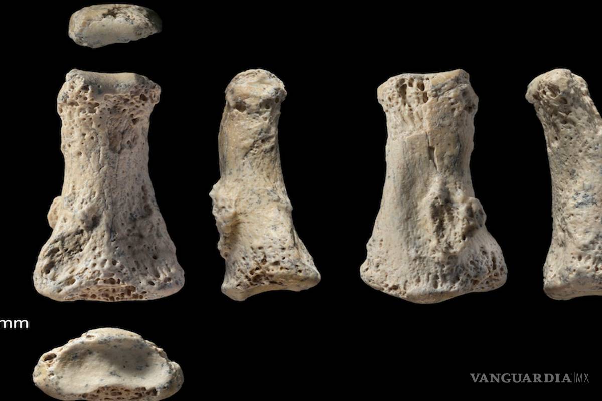 Restos de 90 mil años encontrado en Arabia Saudita promete reescribir la historia del hombre