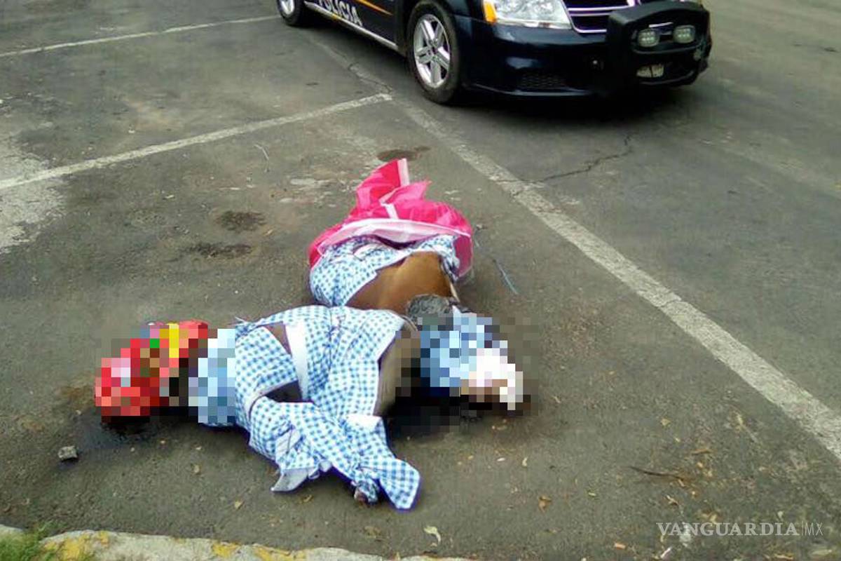 Asesinan a dos perros pitbull; temen sea represalia por la muerte de una niña en Coyoacán