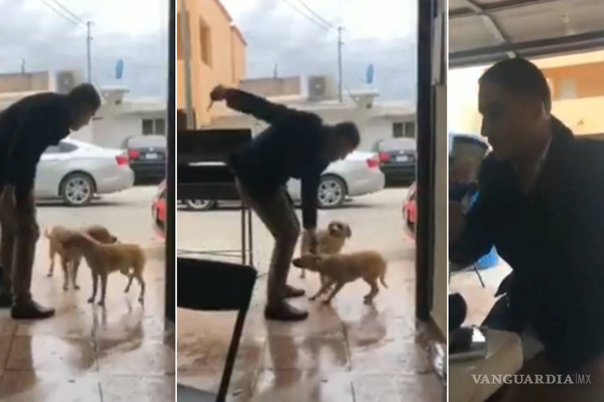 Van autoridades por asesino de perro en Piedras Negras