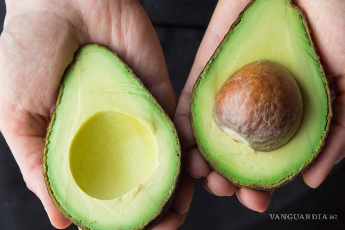 Aguacate se mantiene hasta en 80 pesos el kilo en mercados del país