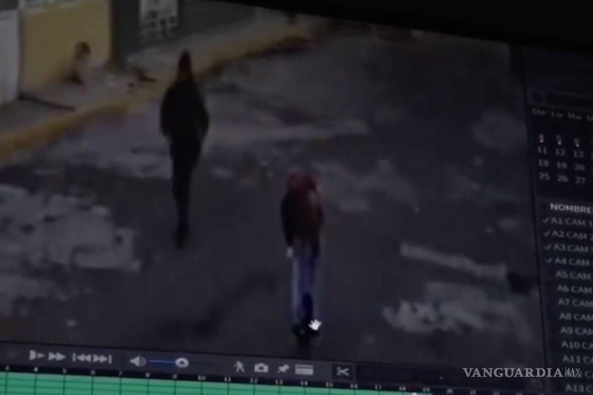 Se detuvo a acariciar a un perrito... la asaltan en ese momento (video)