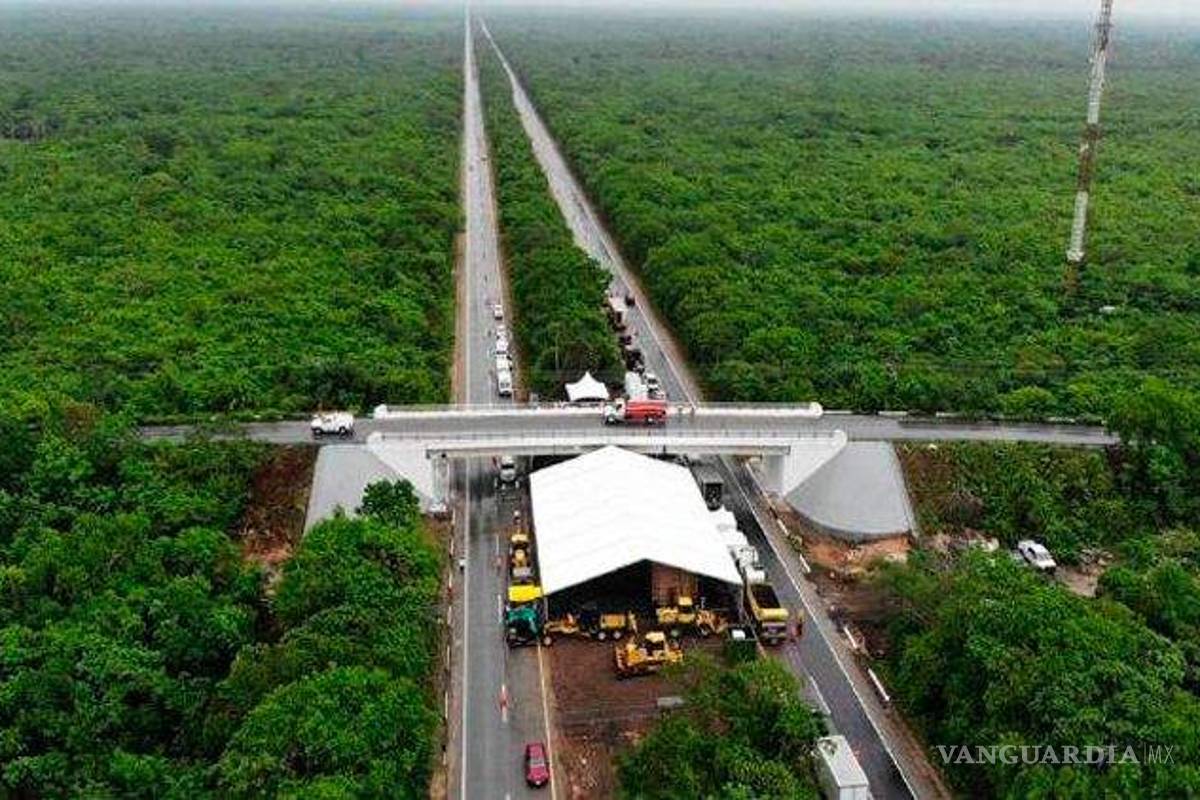 Como 'premio' el Ejército recibirá todos los beneficios del Tren Maya; además será dueño