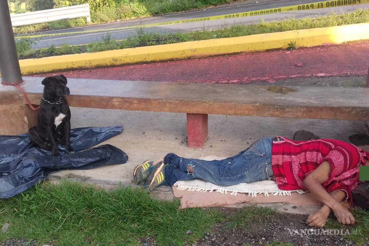 Un hombre sin techo murió de frío, pero su perro nunca se le separó