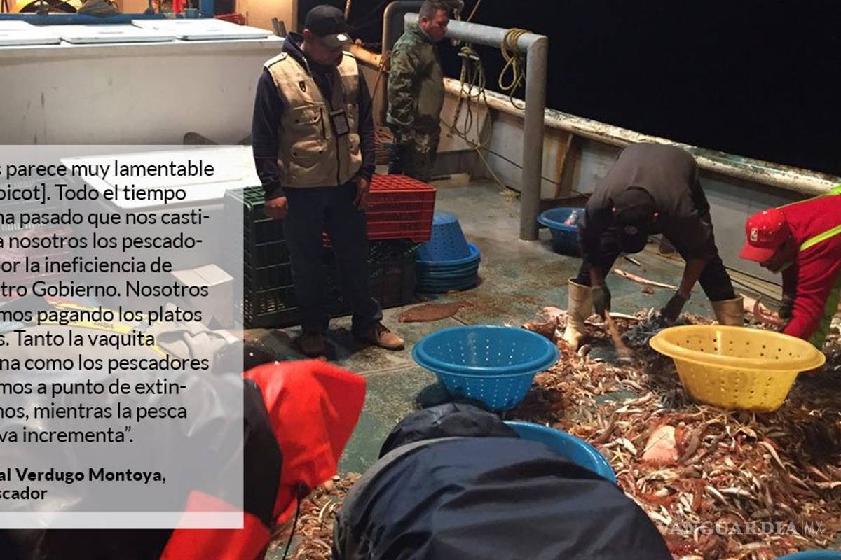 Greenpeace: El Gobierno mexicano no cuidó a la vaquita, y ahora lo pagarán familias camaroneras