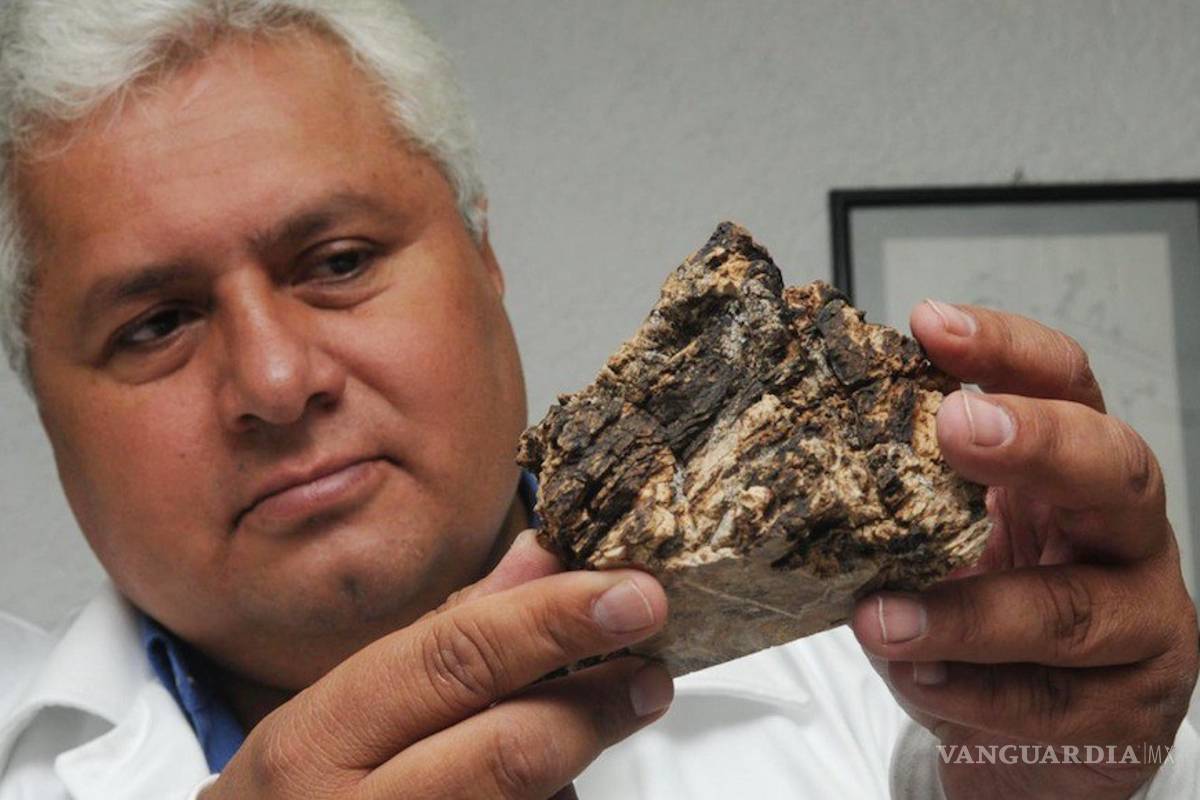 NASA nombrará montaña de Marte en honor al científico mexicano Rafael Navarro