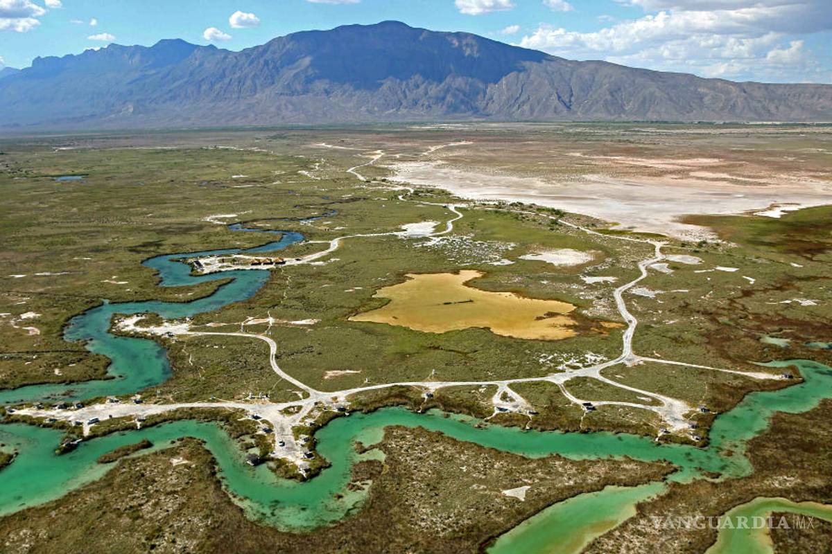 Cuatro Ciénegas, es un documental que muestra las maravillas de esté oasis y lanza la advertencia de preservarlo