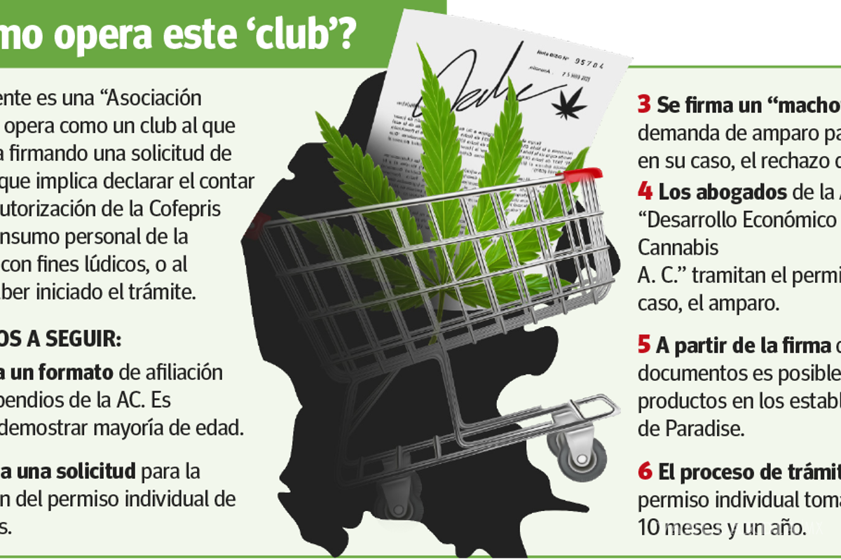 $!Saltillo: disfrazan con clubes ‘venta’ de mariguana en tiendas Paradise
