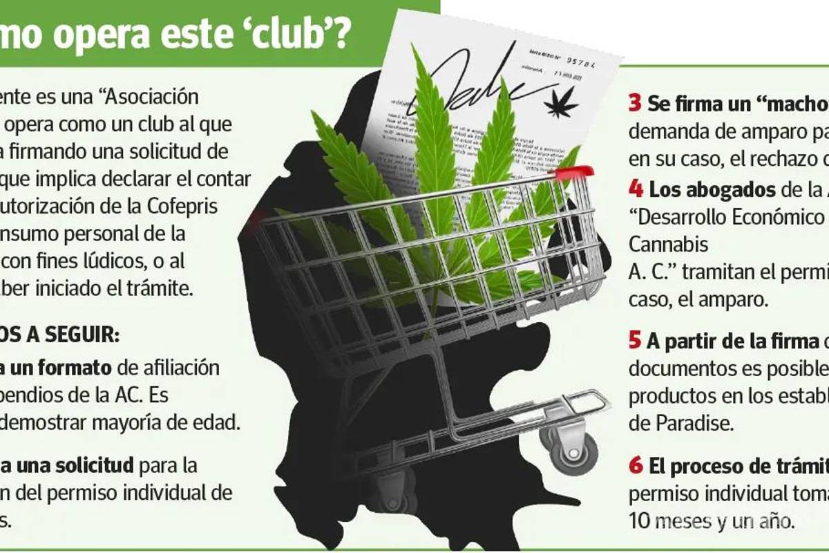 $!Alerta Cofepris sobre venta ilegal de productos con CBD, incluyendo a Paradise