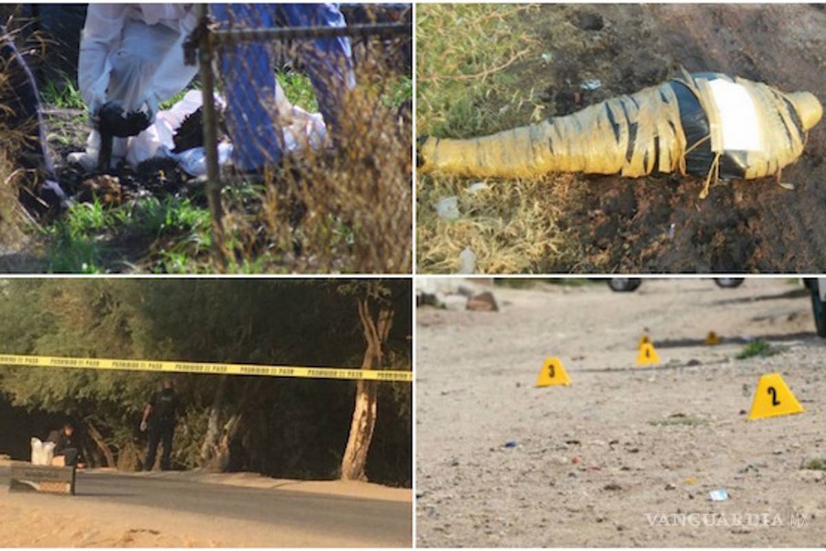 La violencia se dispara en Guanajuato: 19 asesinatos en sólo una semana, 17 de ellos fueron ejecuciones