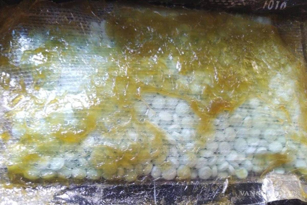 Detectan pastillas presuntamente de fentanilo en Torreón; iban para Estados Unidos