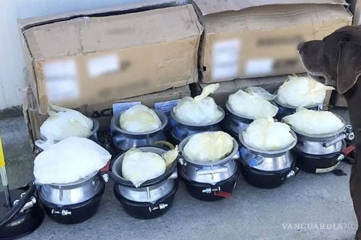 Guardia Nacional encuentra droga en mensajería de Tijuana