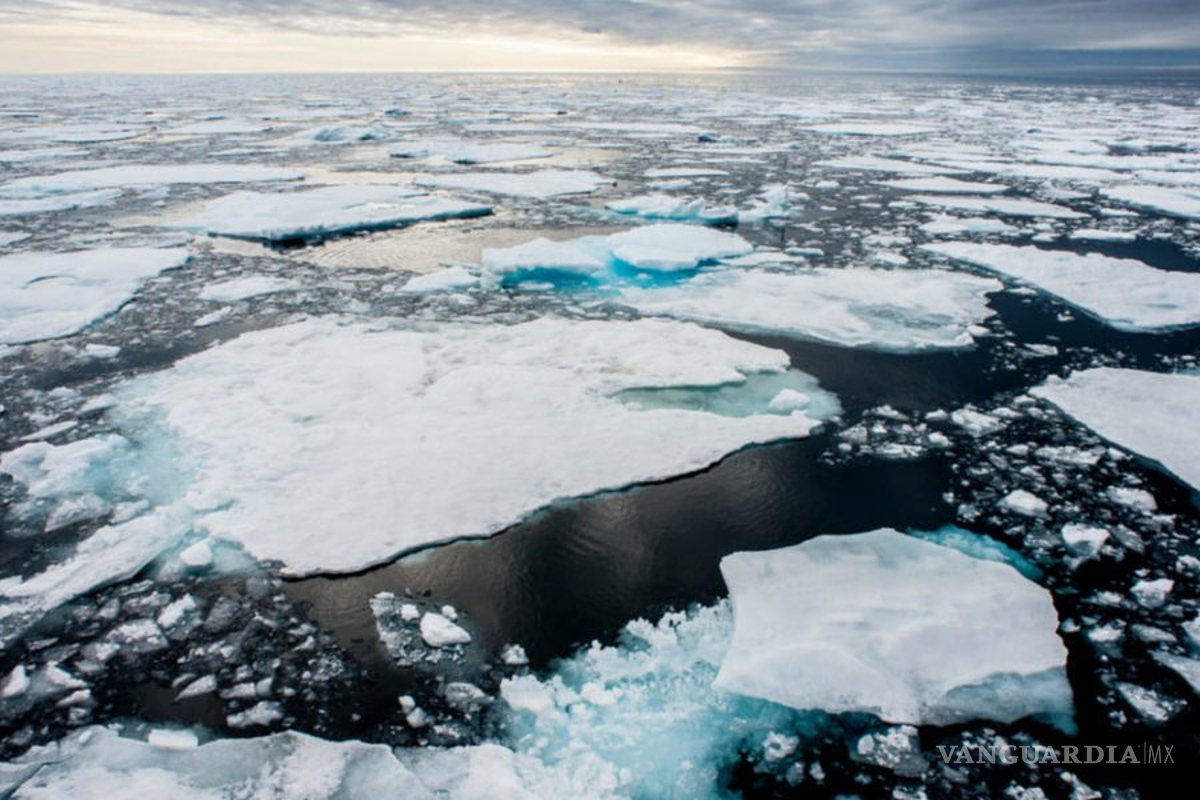 $!Los autores del estudio también advirtieron que los eventos de hielo marino bajo pueden volverse más frecuentes