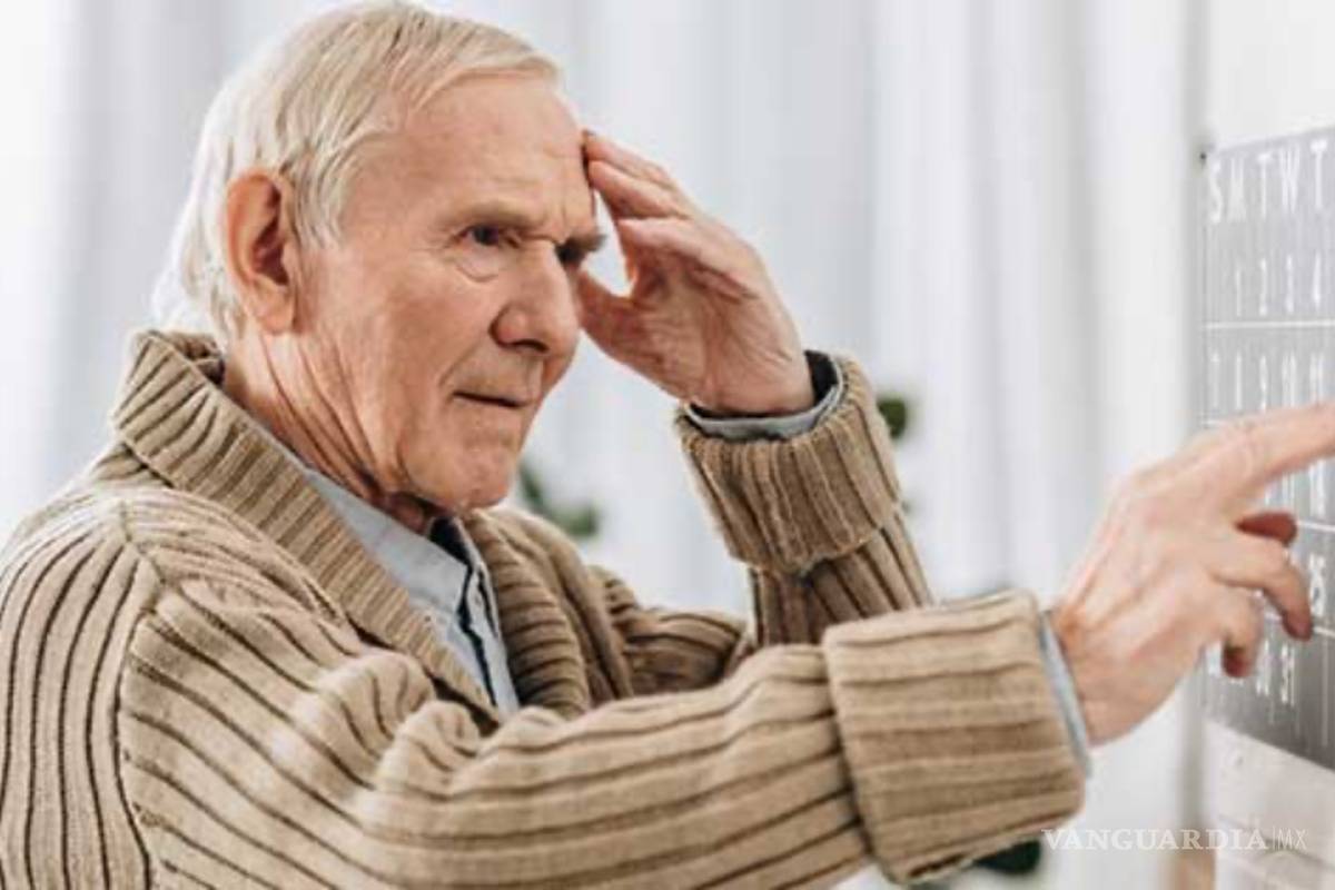 Anomalías en la descomposición del colesterol aceleran algunos tipos de demencias