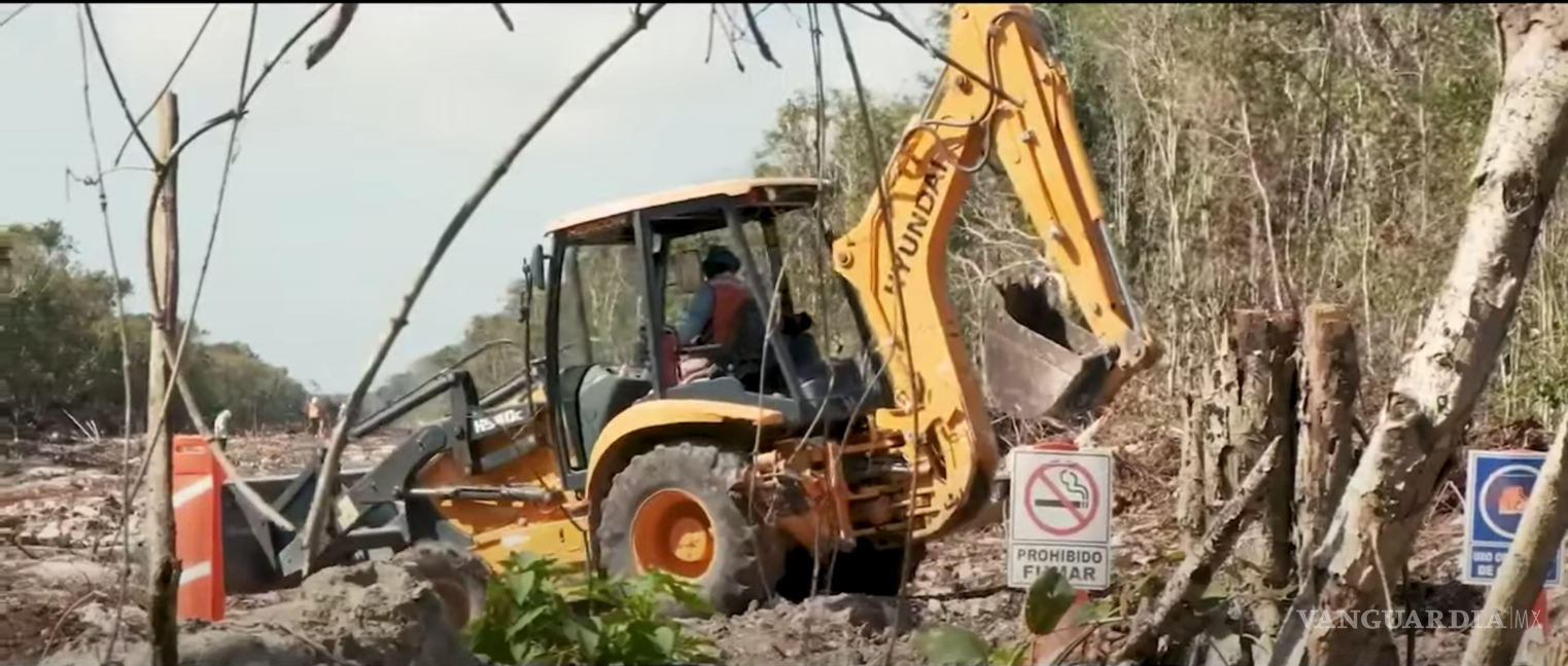 $!La iniciativa fue respaldada por Greenpeace México, organización que está recaudando firmas que se oponga a la construcción del tramo.