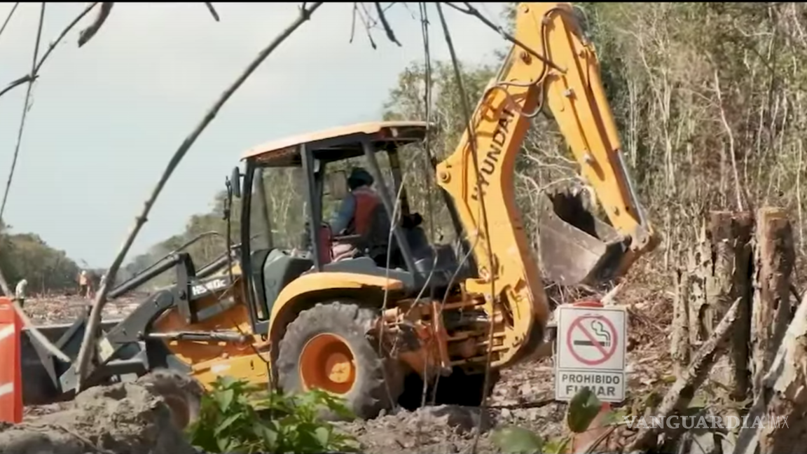 $!La iniciativa fue respaldada por Greenpeace México, organización que está recaudando firmas que se oponga a la construcción del tramo.