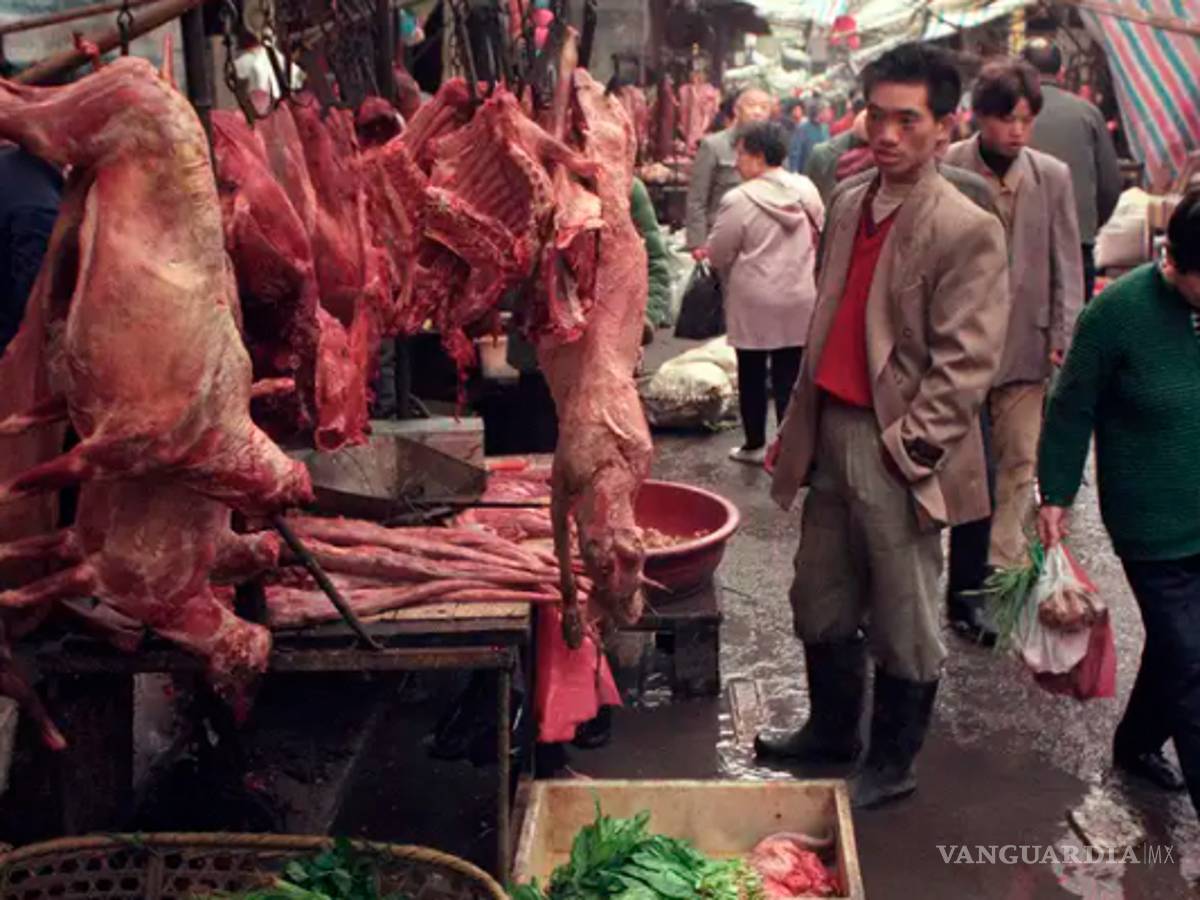 $!A un año del primer caso de COVID en EU, ¿realmente sabemos de dónde surgió el virus?