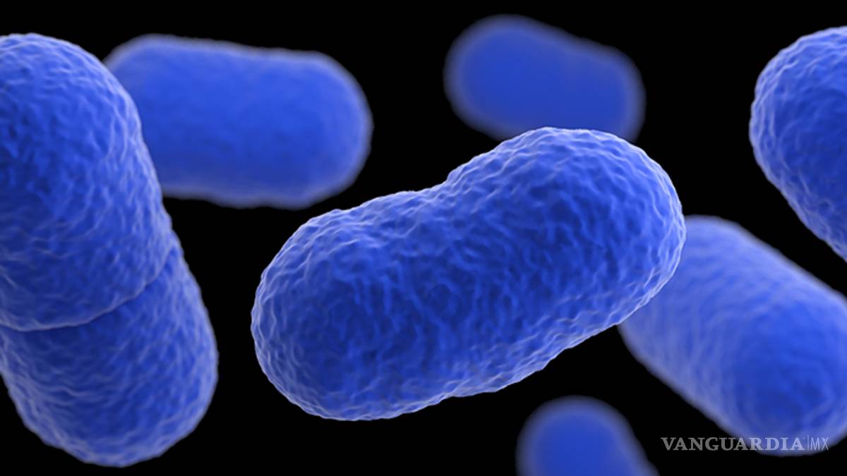 ¿Qué sucede cuando una mujer embarazada consume comida infectada?