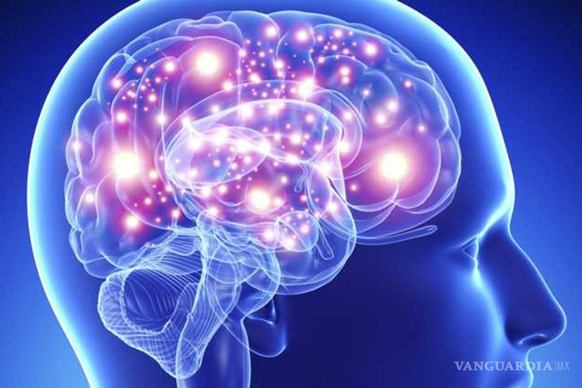 Esclerosis múltiple, una enfermedad que afecta a 2.3 millones en el mundo