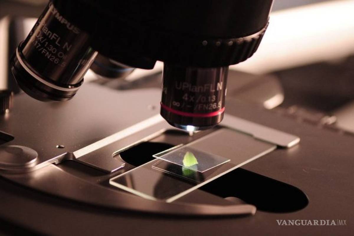 Coecyt recibe en Coahuila más de multas a partidos que del presupuesto estatal