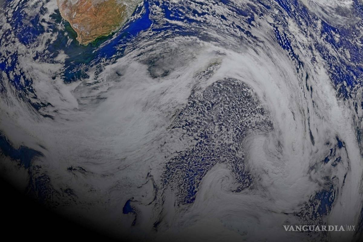 Extinciones masivas, el mecanismo del planeta contra el exceso de carbono