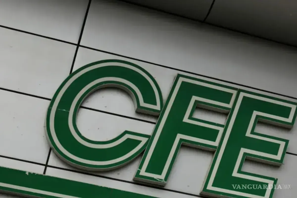 Los adeudos crecen, pero CFE promete pagar
