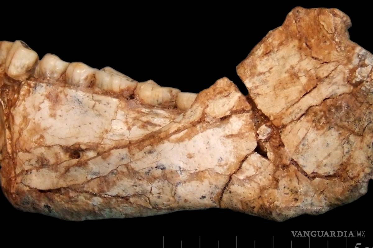 Encuentran en Marruecos los restos de los primeros 'Homo sapiens'