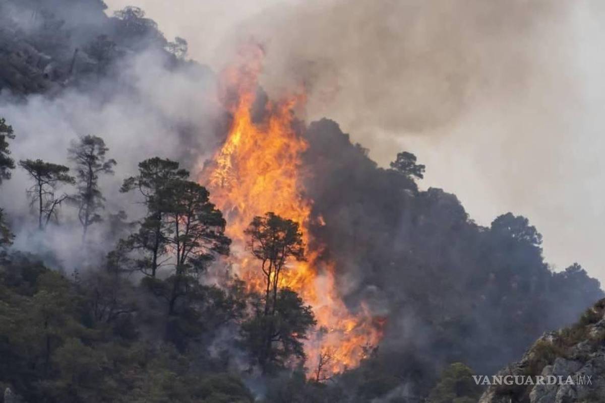 Coahuila: Pese a las lluvias, se reportan más incendios forestales en 2025