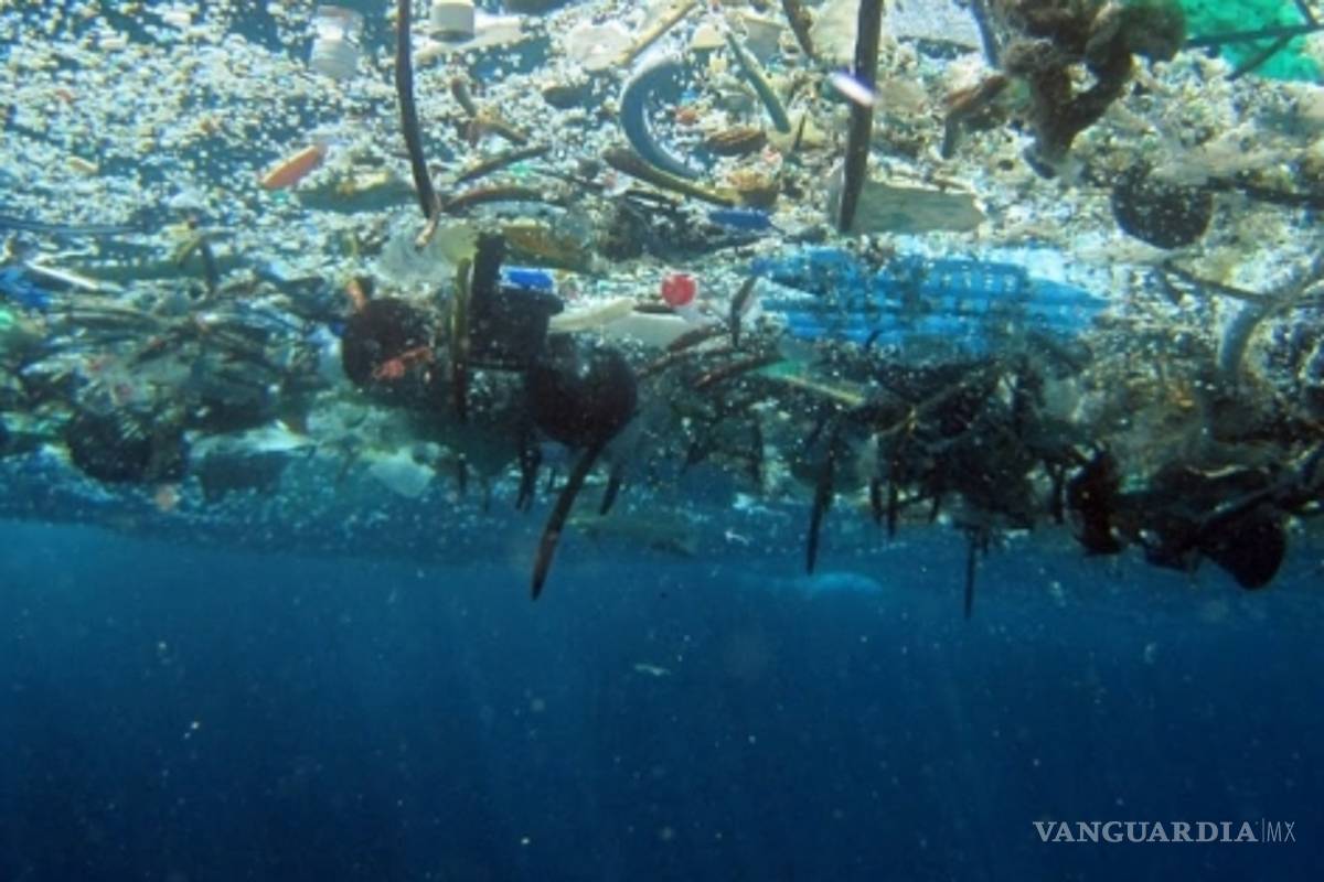 Para 2050 &quot;habrá más plástico que peces&quot;: Greenpeace