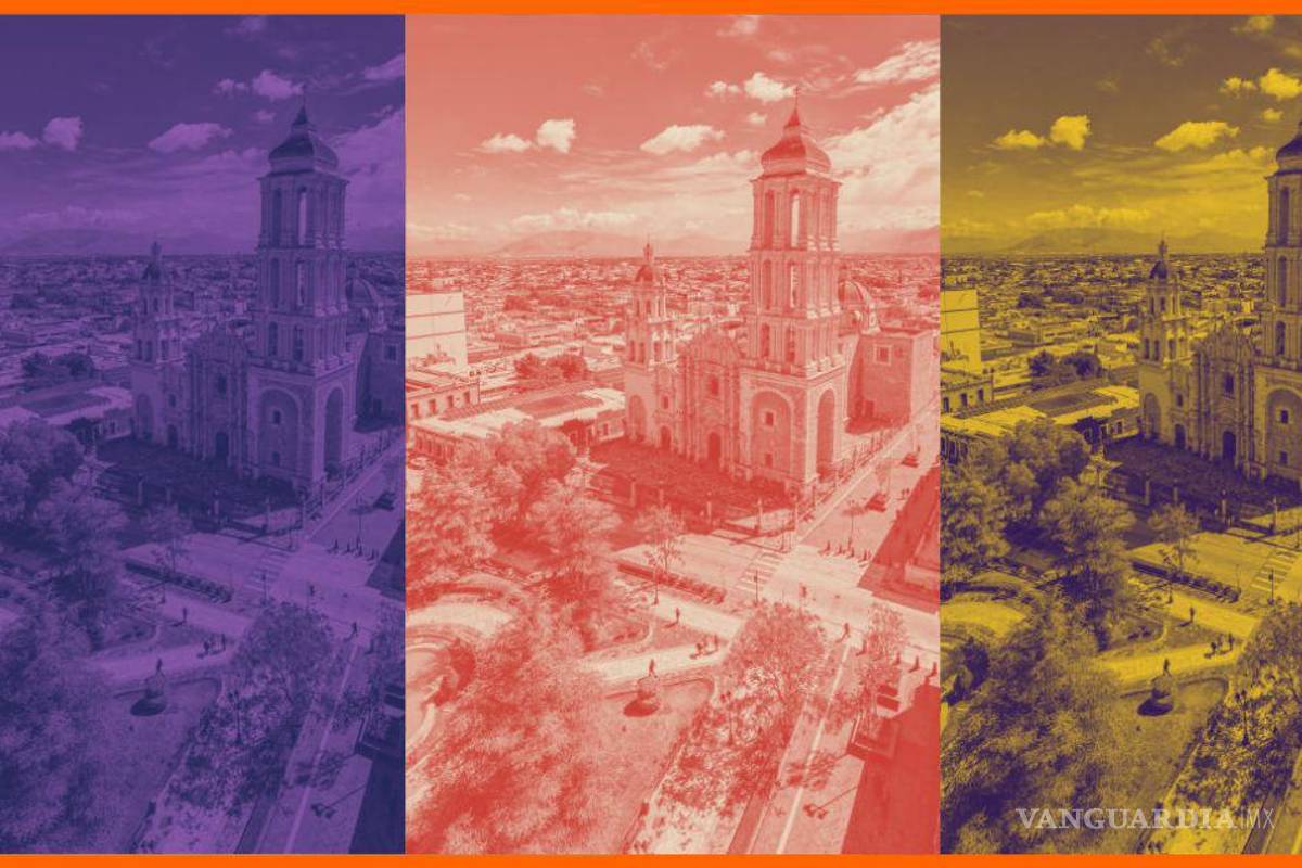 ¿En Saltillo somos tibios? El amor por un árbol y esta causa, demuestran lo contrario