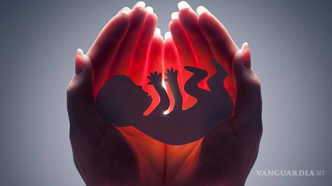 Iniciativa de legalizar el aborto, es solo un rumor, dice investigadora
