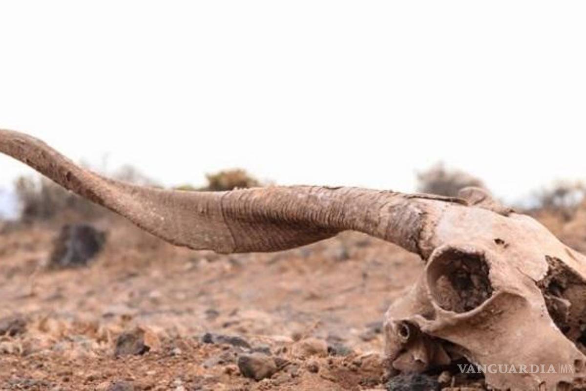 Advierten impacto ambiental por decisiones cortoplacistas