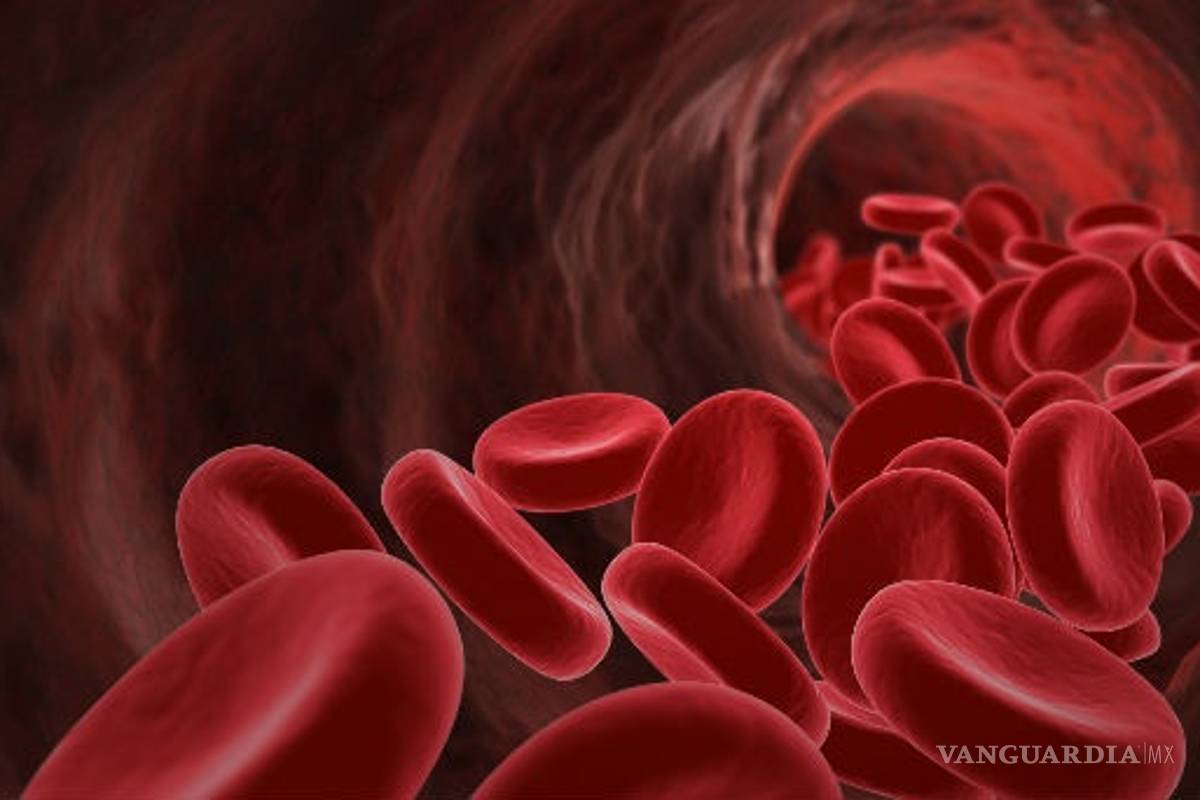 Diseñan en México sistema para medir flujo sanguíneo tras retiro de tumores