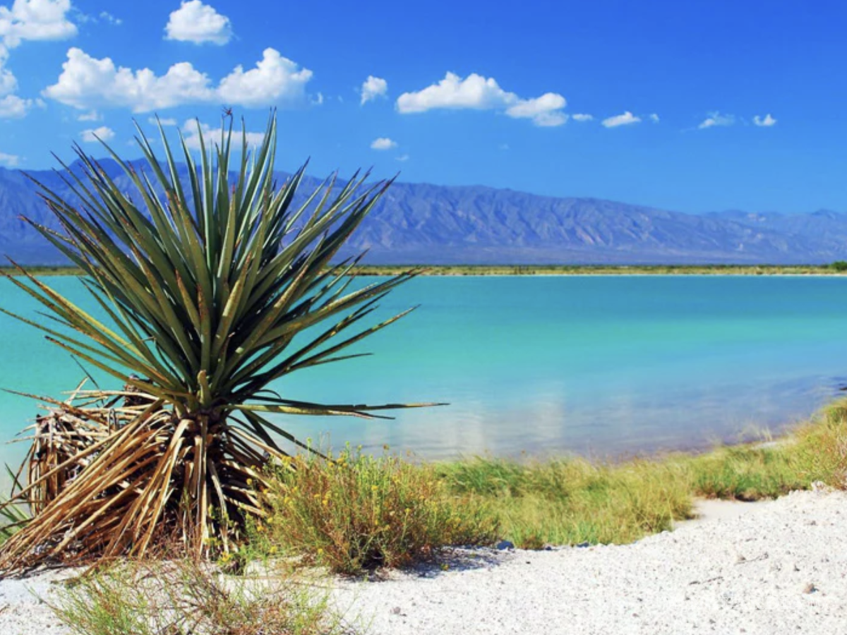 $!Cuatro Ciénegas, es un valle desértico alberga un ecosistema único con pozas de agua cristalina que contrastan con el entorno árido.