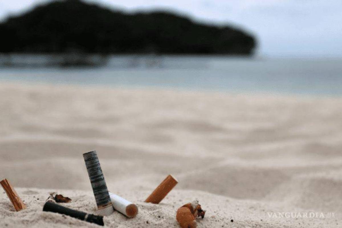 AMLO alista decreto presidencial para prohibir fumar en playas, estadios, centros de espectáculos y hasta los cigarros de chocolate