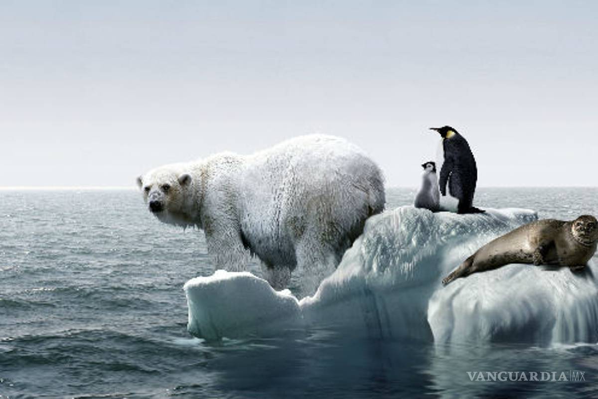 Convocan Ong a la marcha global por el clima