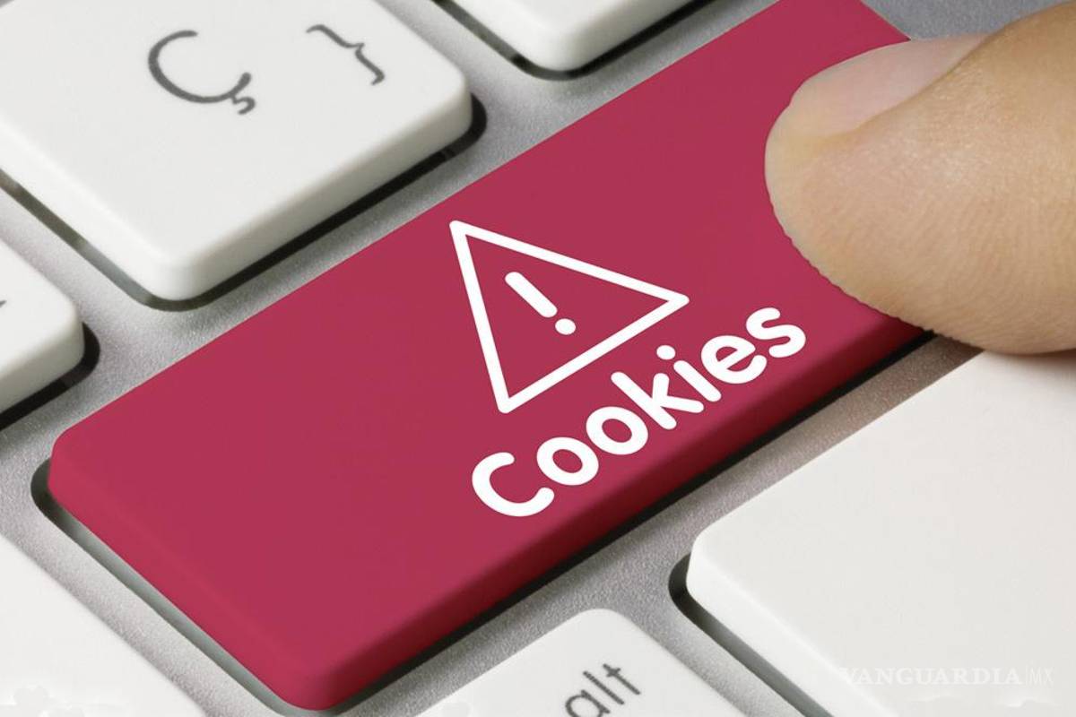 Lucha por la privacidad está cambiando internet