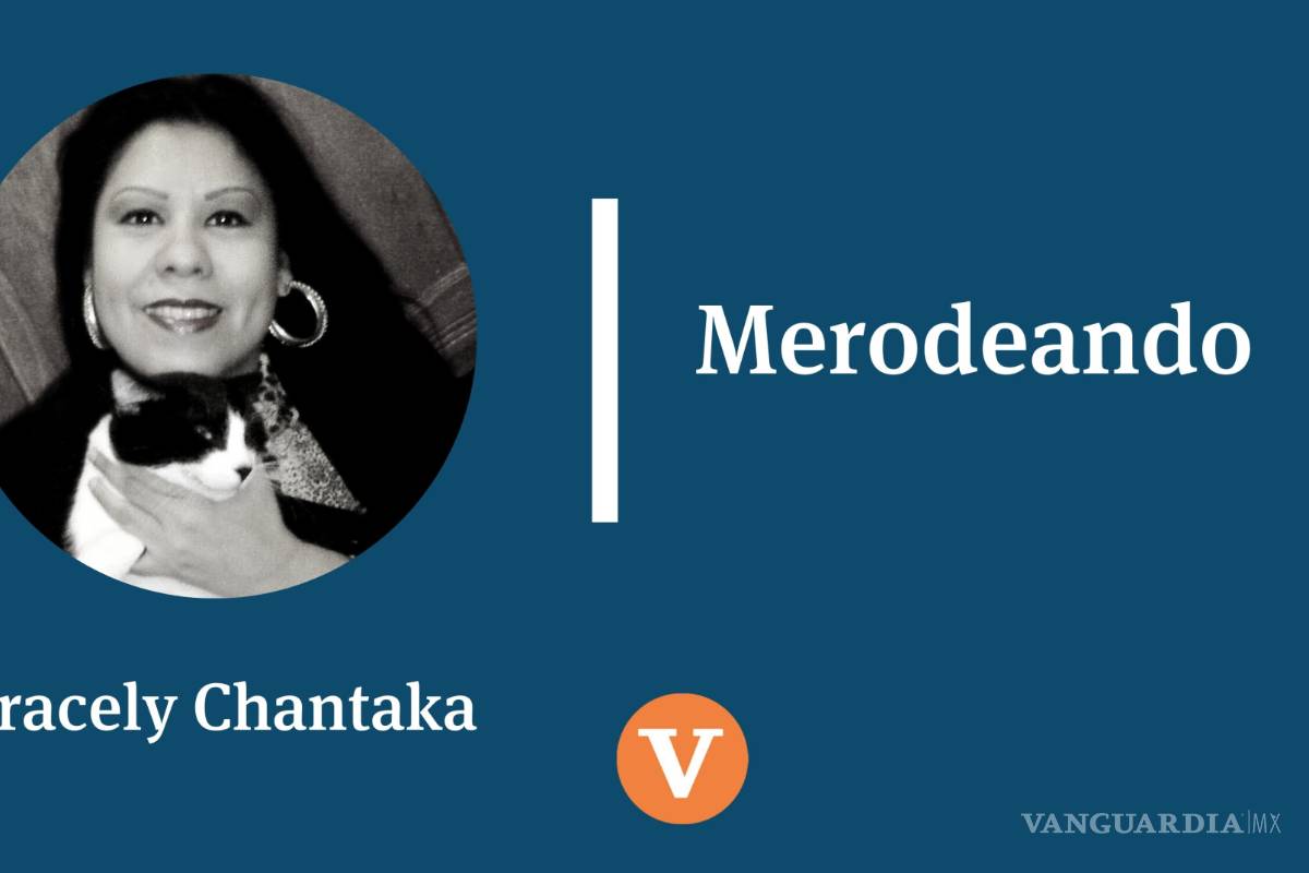 De Leticia Calderón a Niurka Marcos