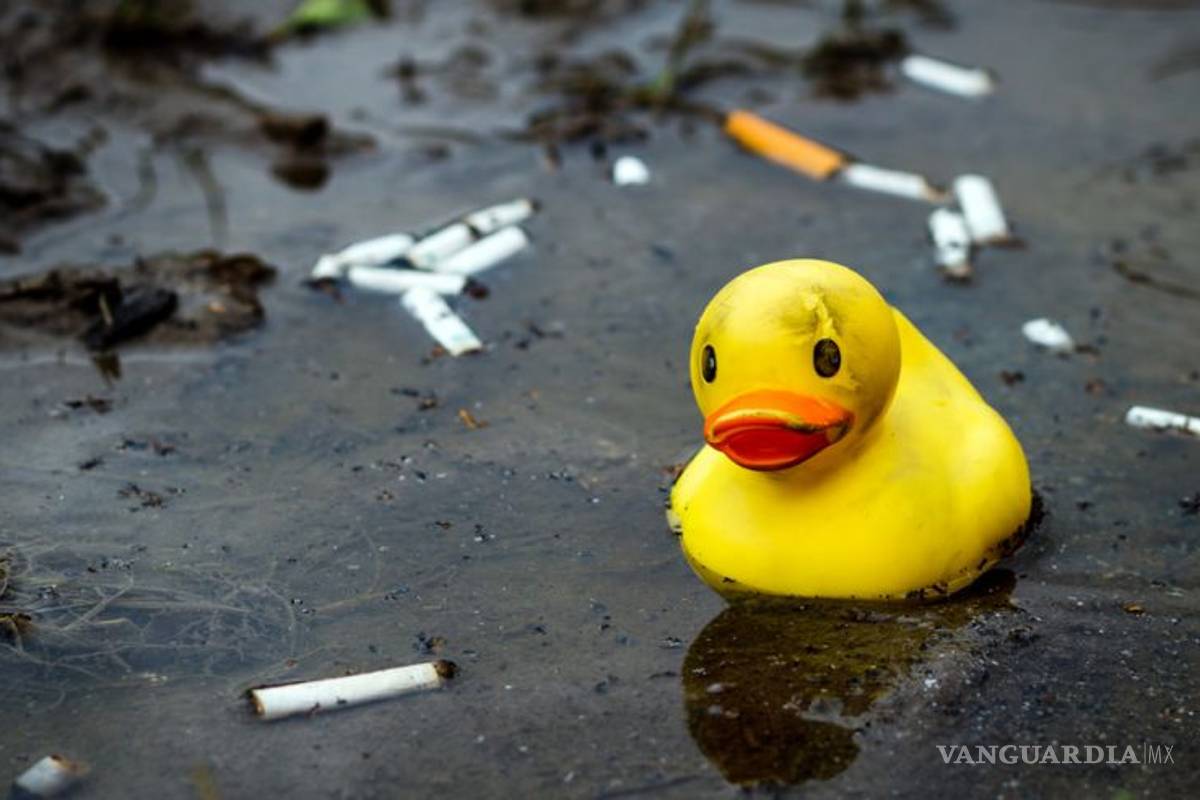 Existe un contaminante aún peor que los popotes... ¡las colillas de cigarros!