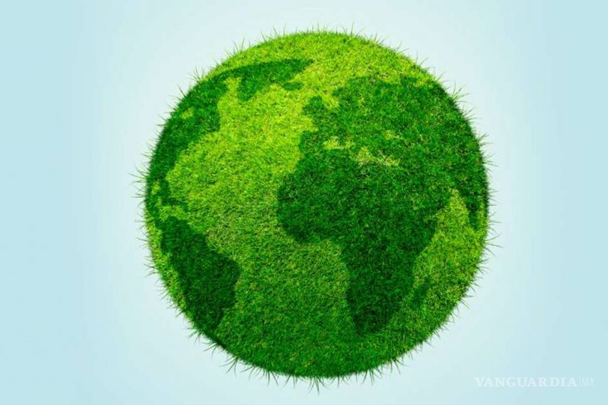 $!¿Sabías que?... 30 datos curiosos que posiblemente desconozcas