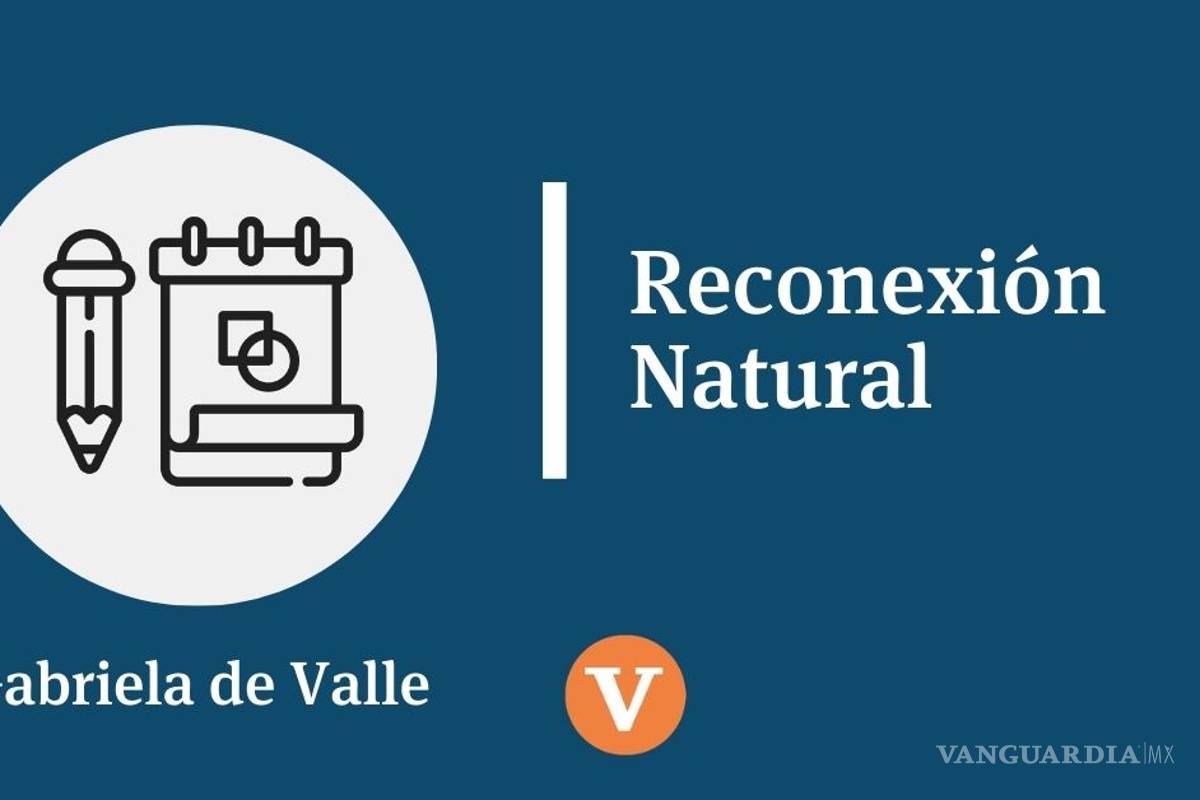 Cambio climático: el problema y la solución está en las ciudades