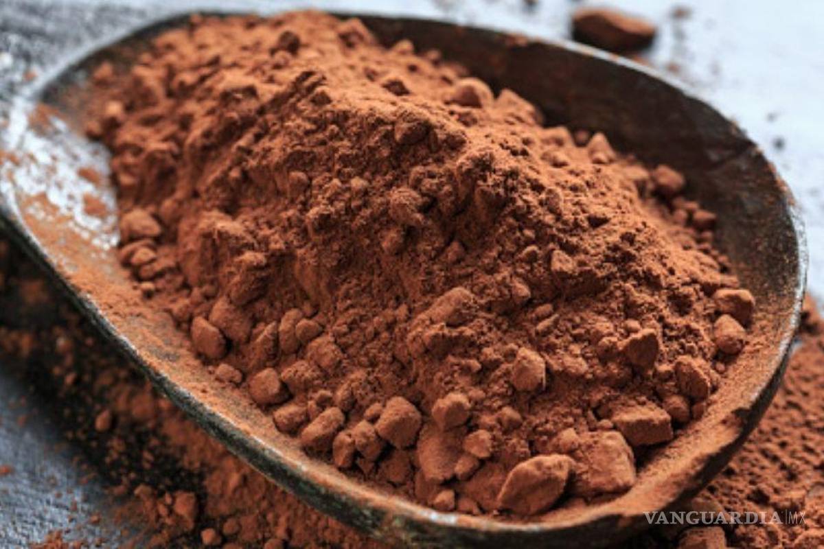 ¿Se te antojó un chocolate Abuelita por la lluvia? Estos son los mejores chocolates en polvo y tabla según Profeco