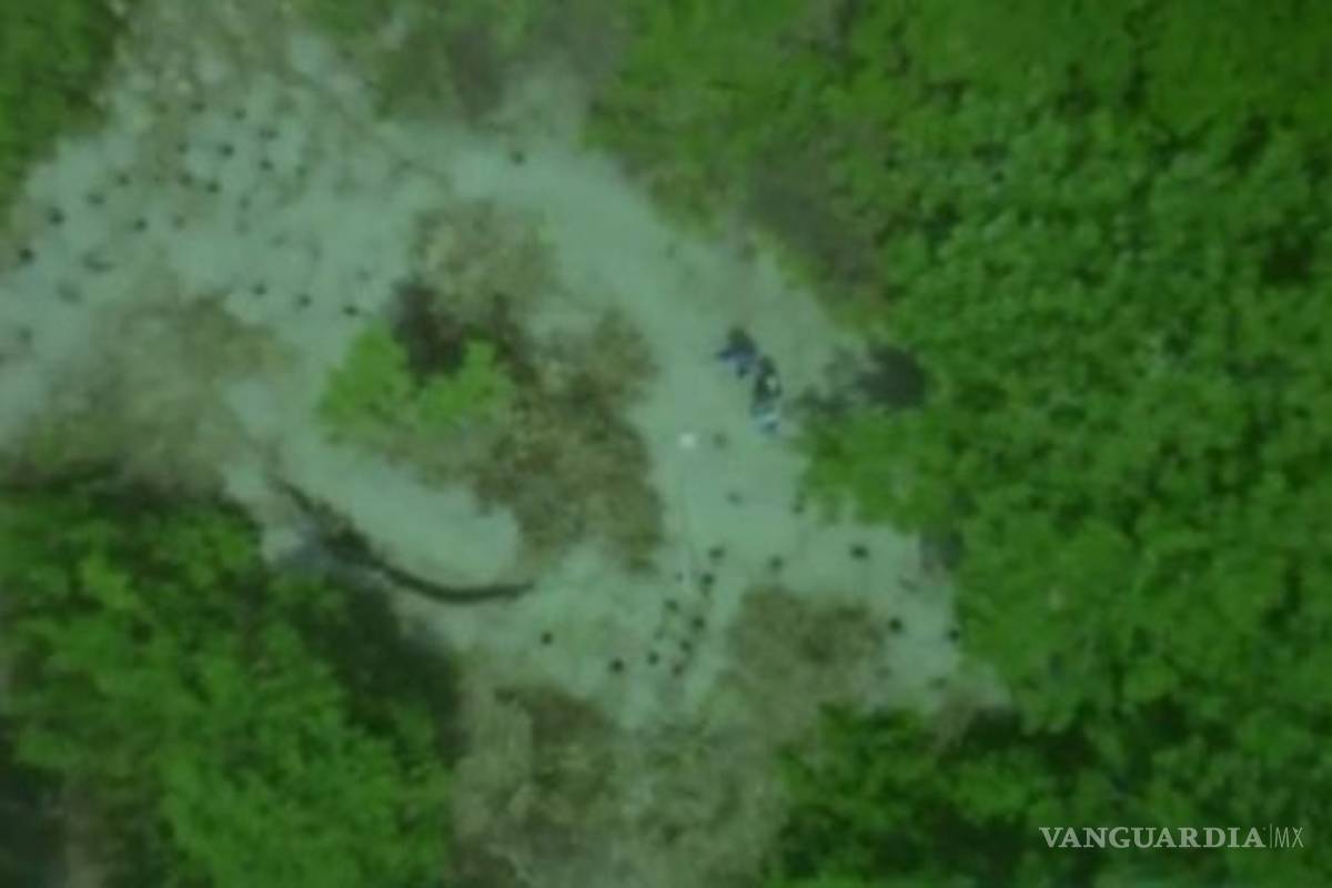 $!Indagan presunto vínculo de policía de Duarte con hallazgo de 166 cráneos en fosa de Veracruz