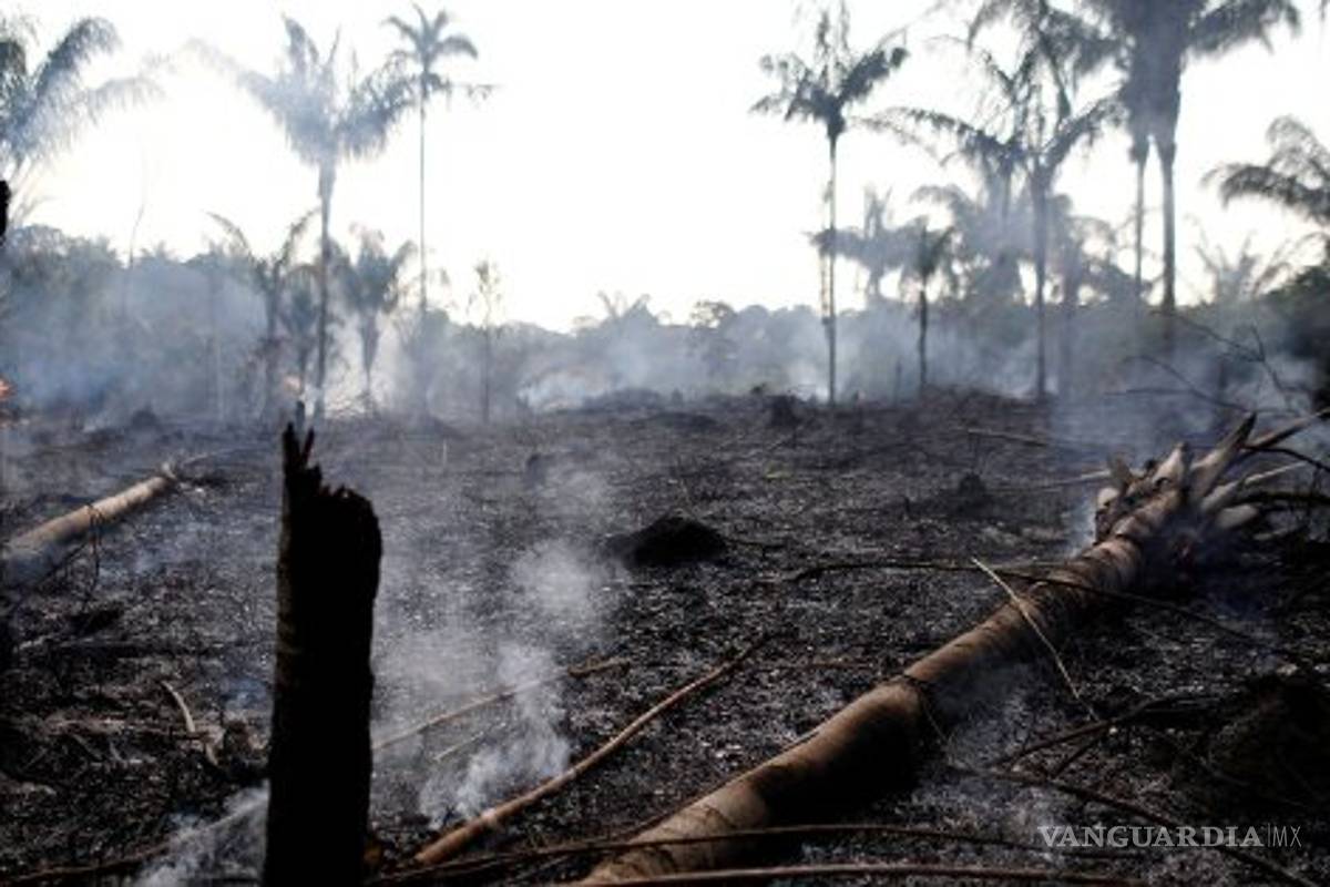Triste pero falso; no llueve en el Amazonas, incendio continúa