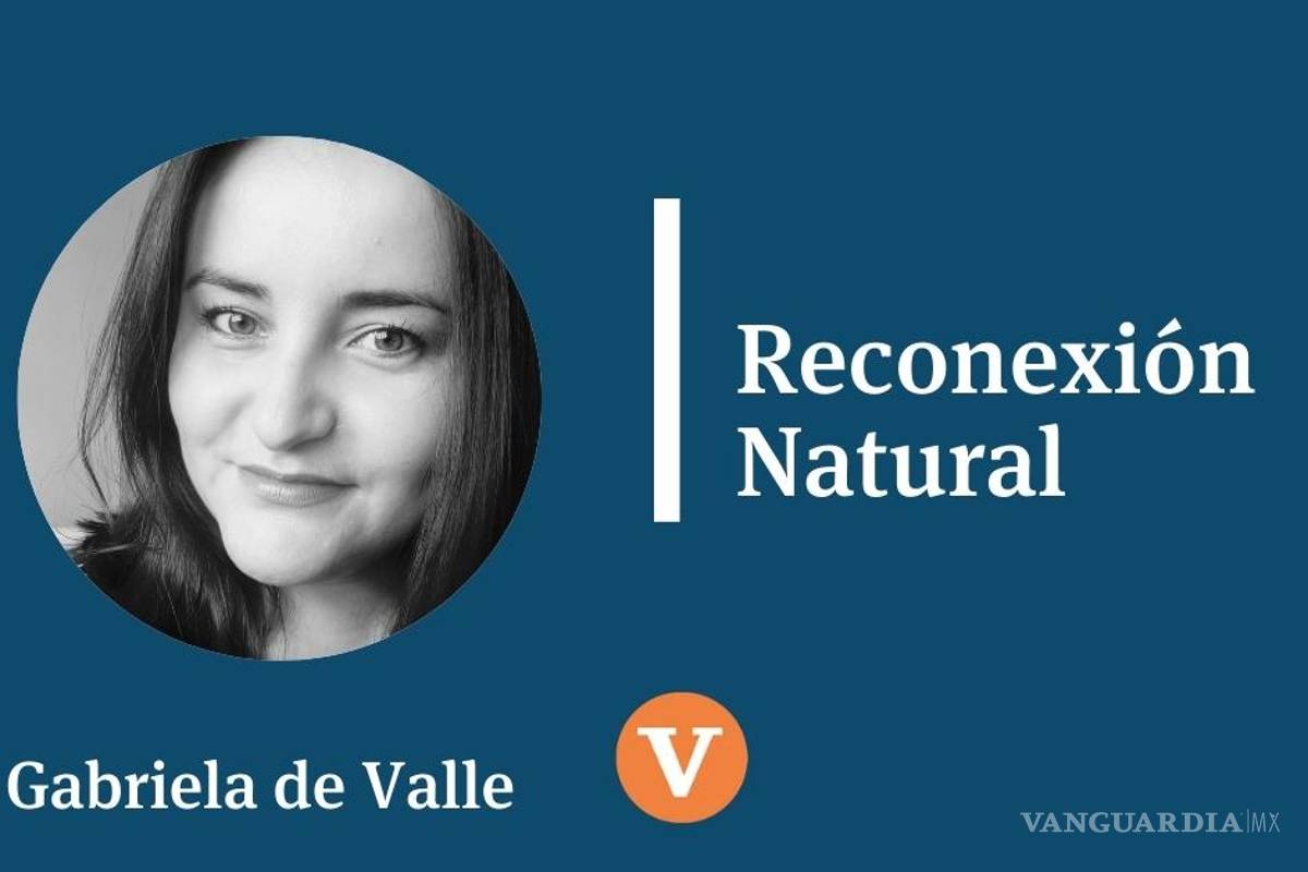 Los acuerdos globales frente a la realidad local