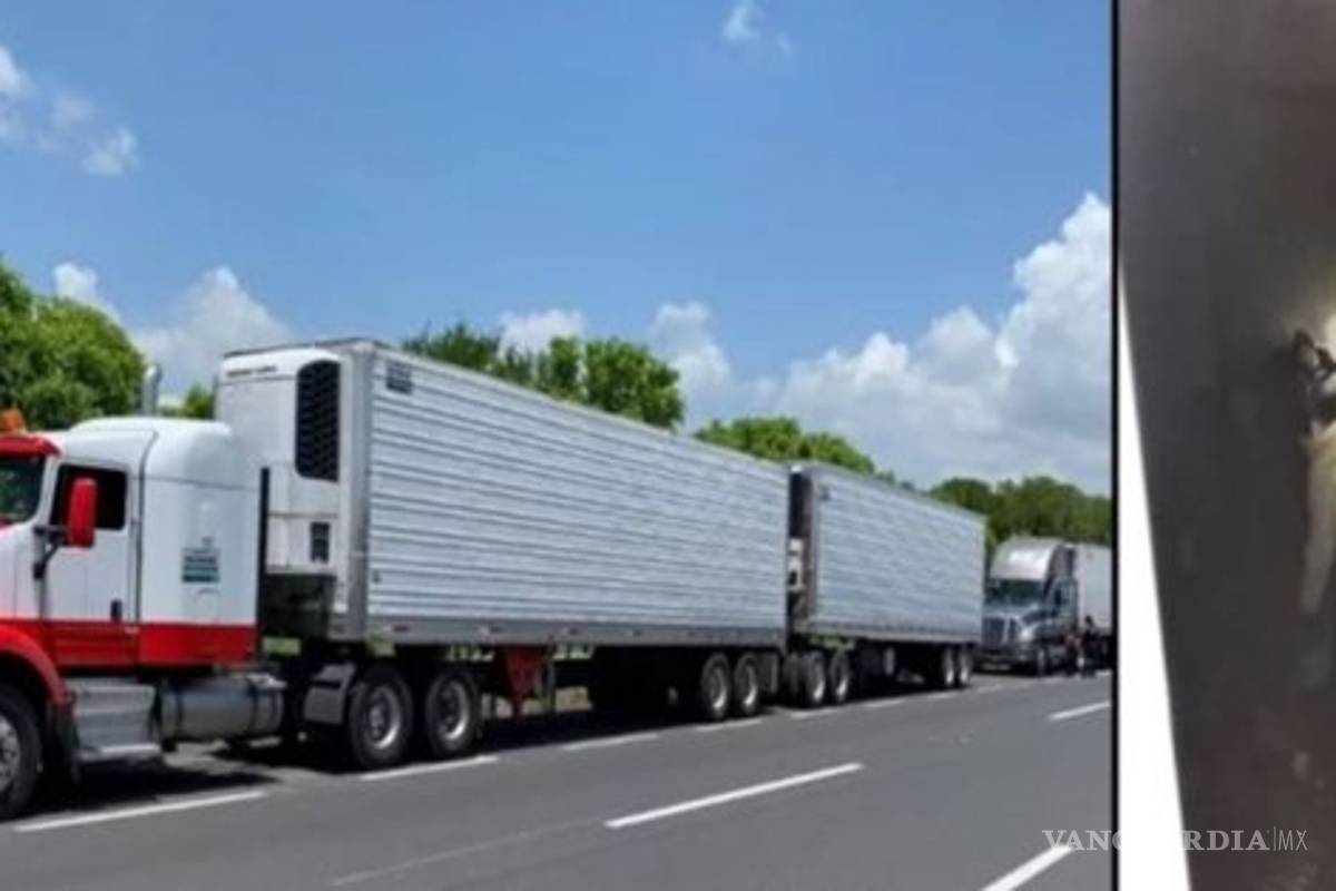 Aseguran a 791 migrantes en cuatro tráileres en Veracruz